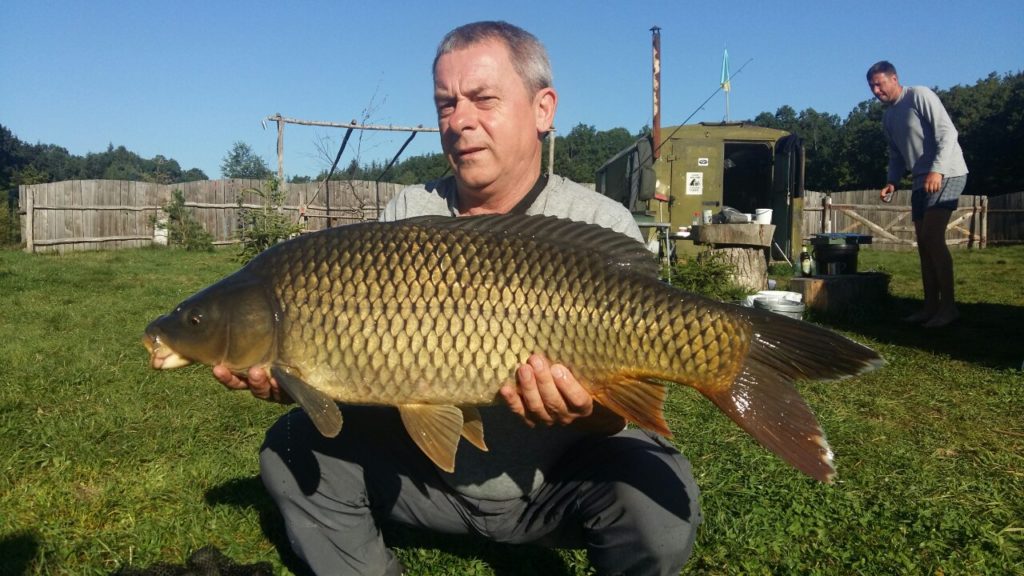 image-0-02-01-0477de808c5db21773c670267850f16f8d12e7e9160abc667cf7e9357da78aec-V