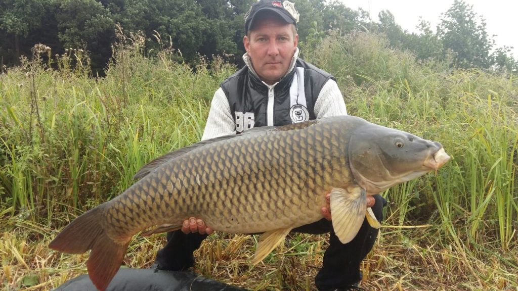 image-0-02-05-03b3f57a72216d96c9099dd4f34ad26f059af8410179d5be0ff7c40f3523a267-V_1481739245144