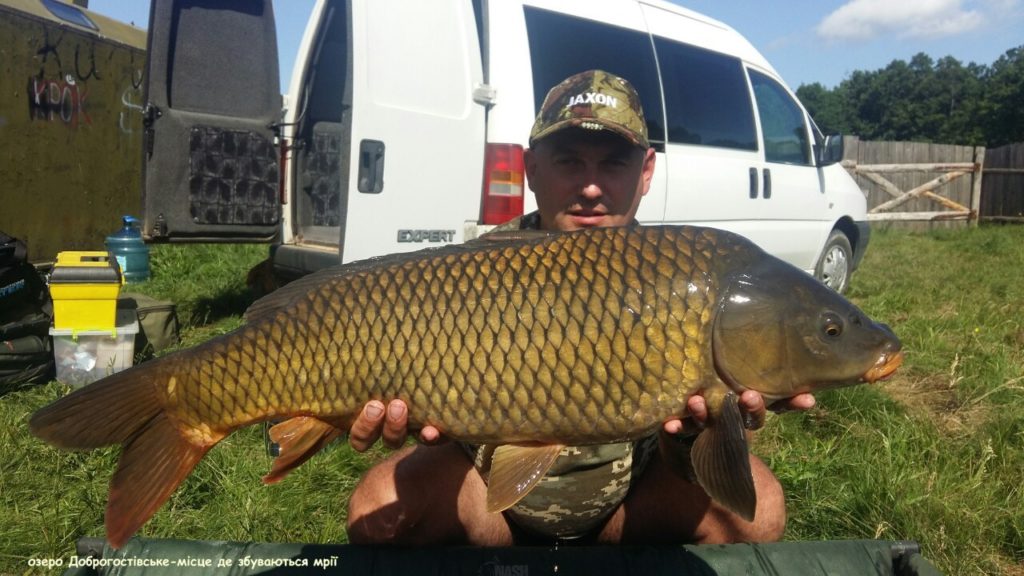 image-0-02-05-083bb66a4771441416761333d6276b68dd2e553b89933407821c8f503f644f84-V_1481739306169