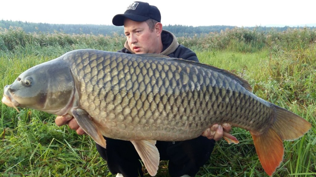 image-0-02-05-21ced2cfd65b1e4d44e56e78ed800e06594da5dab7c042548db345317958dea8-V_1481739245768