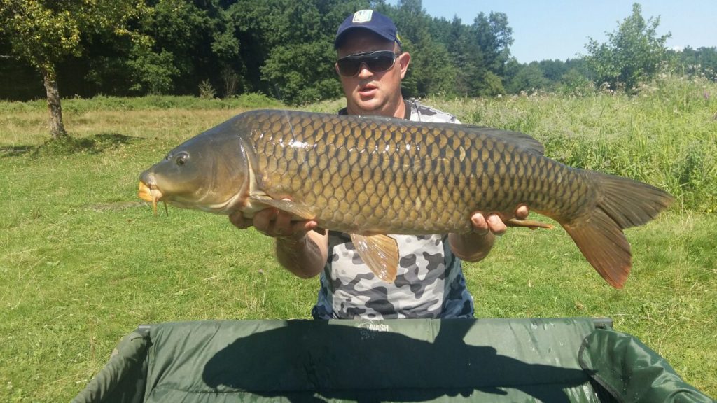 image-0-02-05-3af132674e0c89356c563a394f49cd2c49e10145a9baef631445f2f0dcc46b87-V_1481739205535