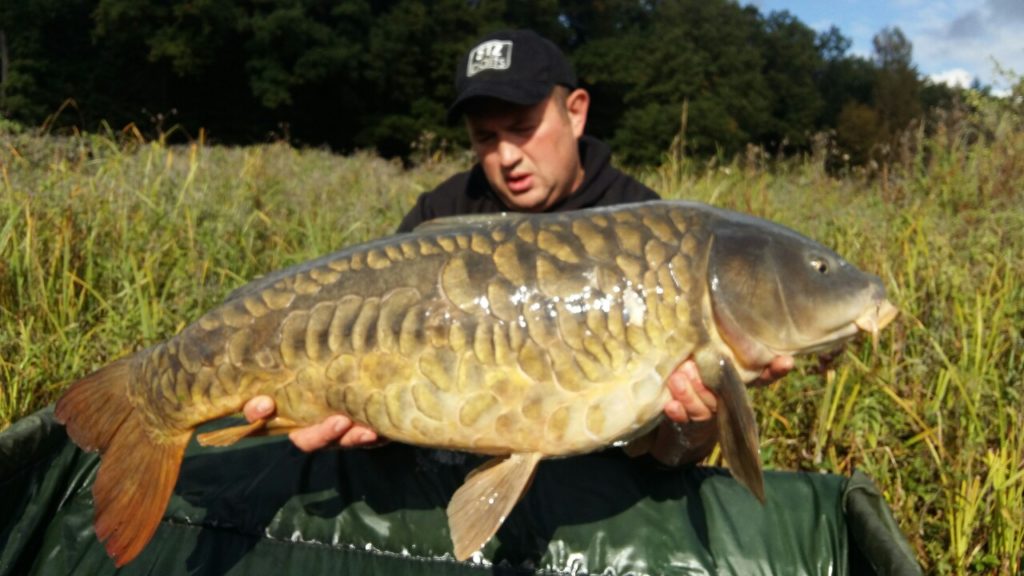 image-0-02-05-468a6d05f70858033caeff19f593f3fecdb15e19992cf5fb4f83aad834a9a2bd-V_1481739282307