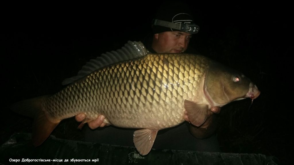 image-0-02-05-5b23934b2d55308598261a1bf9de4f465426a35020d8e1654455a48861576578-V_1481739281666