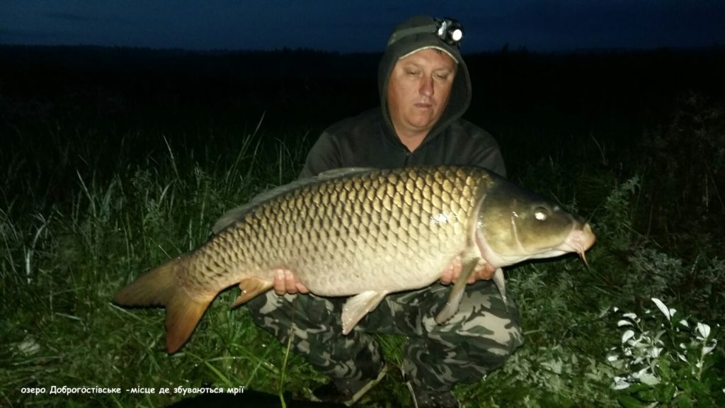 image-0-02-05-5c600d699096d2403cd3324d588b3a918453a6f52fba987f86f4e47d86a618b2-V_1481739245030