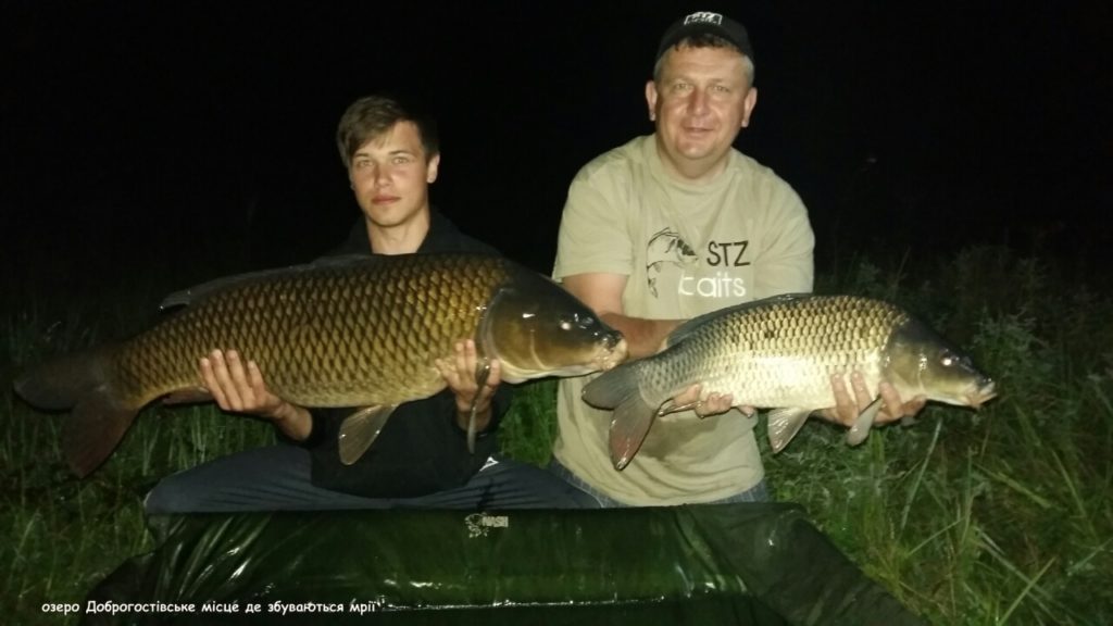 image-0-02-05-66f54b8e471f908235516abaf61da30d4727327581d9db23ed3d33224c68a8a6-V_1481739281086