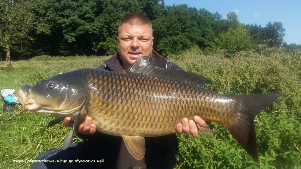 image-0-02-05-78a165054a31335d2f7eb830cfa0a1d43645adeae9b0886c2039304f594d794f-V_1481739136471