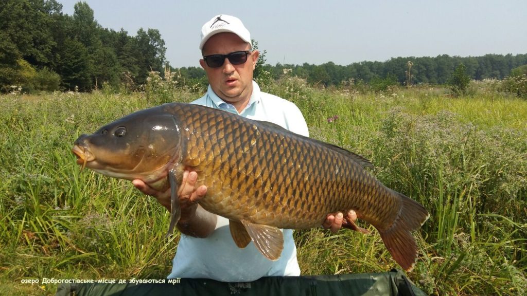 image-0-02-05-8443498cdece88d3f8cc9dddda09a8fe95f8e82e0cde5e913b1f60f72364fdf9-V_1481739280576