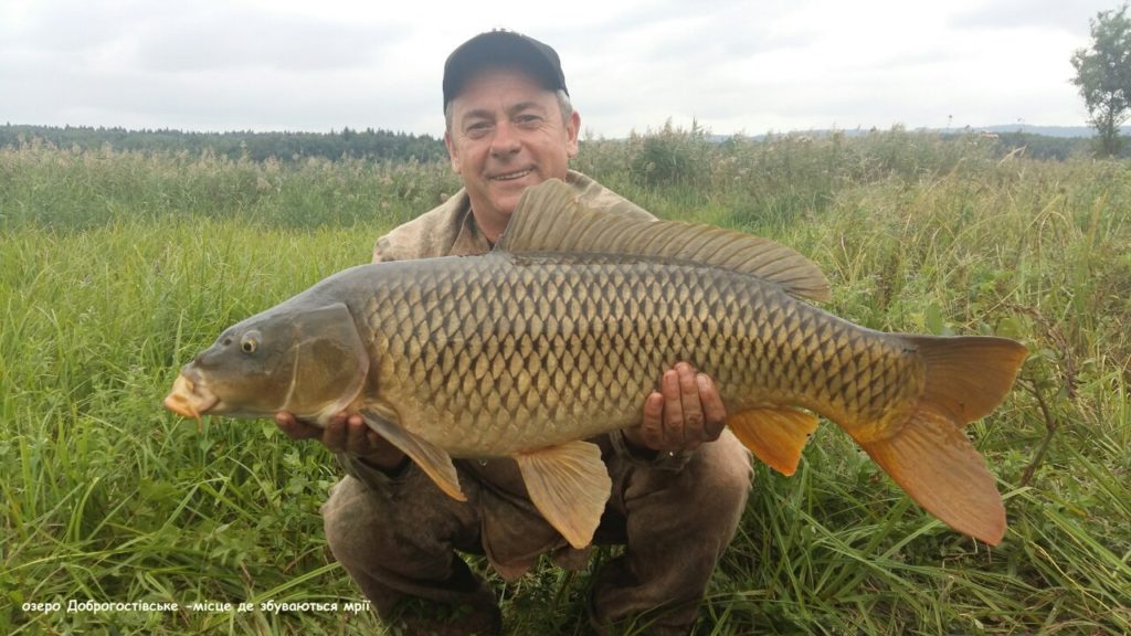 image-0-02-05-92158809f2bf6fdb288ce2aaee4c3a2e04ba7dc17de5a3104744da2428f9aac8-V_1481739245652