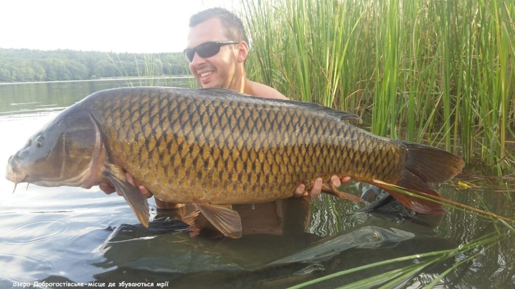 image-0-02-05-ab43f76f00061c31b920c7a6c5743b66174b4c961768a378d5661f84970151cc-V_1481739137817