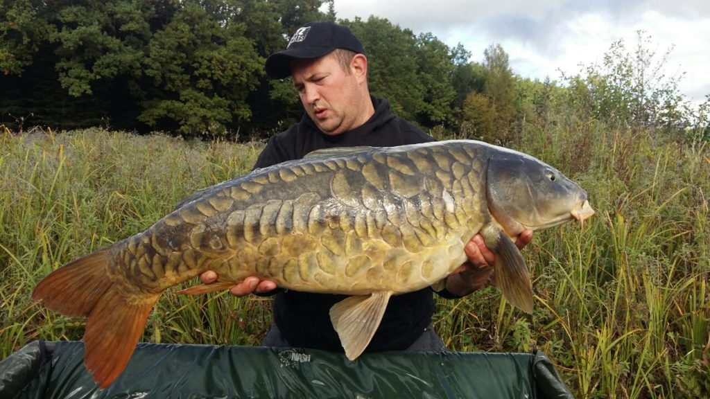 image-0-02-05-bfb60f0555e87374e2323adabac1af3aad99b0c3eec0d96180f3dcfaa703df63-V_1481739282420