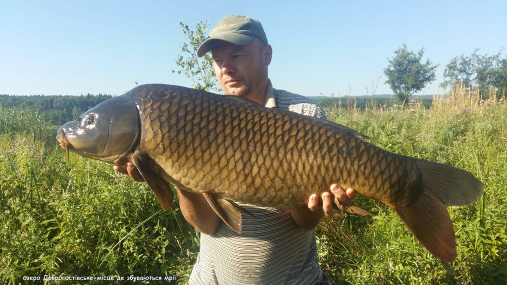 image-0-02-05-ef64a9cab7f67af9cb46057e0f7135e56d84d896de2ee3c2c5a3a40aaf5d14fe-V_1481739204993