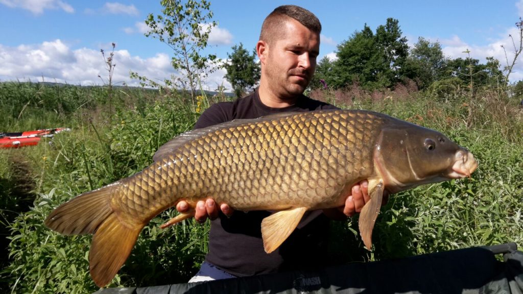 image-0.02.01.5c4a14f04bd10b94bc77a9d69a783238ea5bdc3c66f3a189d7dc0df6445672ed-V