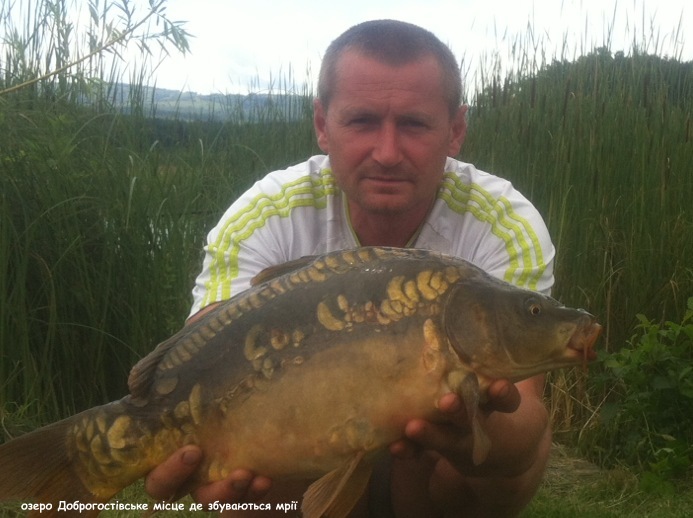 image-0.02.01.cff98483c9caccbe3c34e554374b9dec02e48be1862aa519f8f3cca443f372a8-V